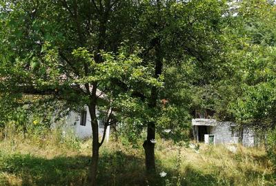Casă cu 3 camere cu Canalizare în Baia de Aramă - 3