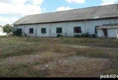 Spațiu comercial, de 8,438 mp, în Cobadin - 5