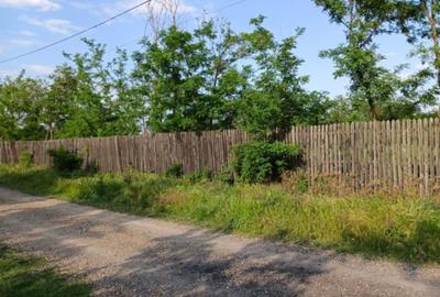 Teren intravilan de 3580 mp, în Călțuna - 6