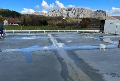 Teren agricol extravilan de 9000 mp, în Rimetea - 12
