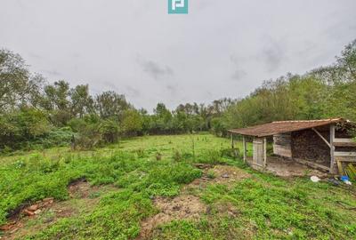 Teren 977 mp cu fundație și pivniță finalizată - 10