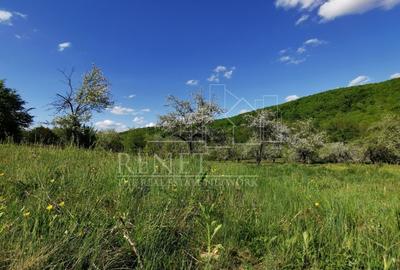 Teren Construcții extravilan de 680 mp, în Budeasa Mică - 11