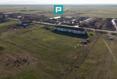 Hală industrială cu teren generos în Zărand, Arad - 41