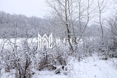 Teren Construcții intravilan de 1466 mp, în Exterior Est - 9