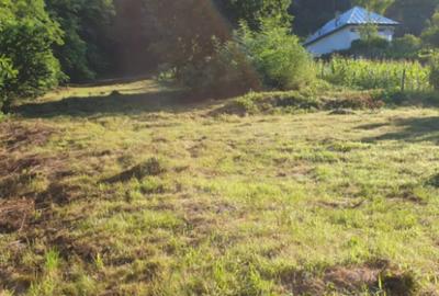 Teren de 7000 mp, în Ștubeie Tisa - 5