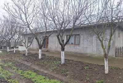 VAND CASA ........... - 1