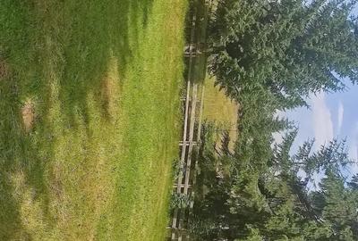 Teren de 3000 mp, în Beliș - 2