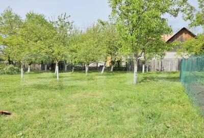 Casă individuală cu 4 camere cu Teren 1000 Mp în Exterior Sud - 3