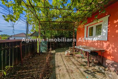 Casă cu 2 camere în Criș - 1