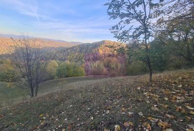 Teren agricol intravilan de 3092 mp, în Telega - 18