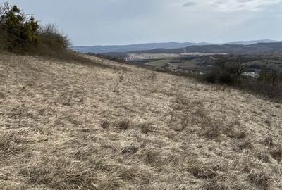 Teren de 5900 mp, în Central