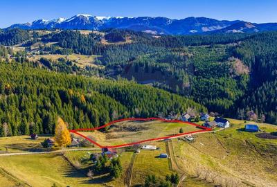 Teren Construcții intravilan de 13800 mp, în Fundățica - 8