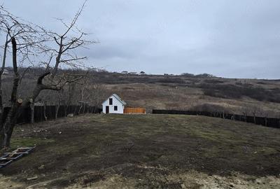 Casă cu 7 camere cu Teren 1500 Mp în Viticultori - 6