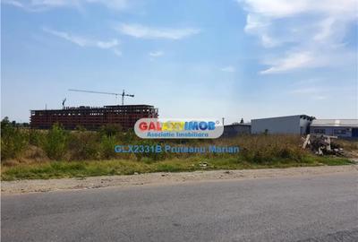 Teren de 4000 mp, în Theodor Pallady - 8