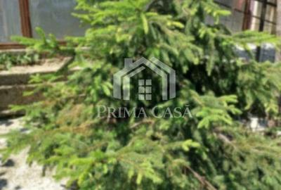 Casă cu Teren 500 Mp în Dorobanți - 6