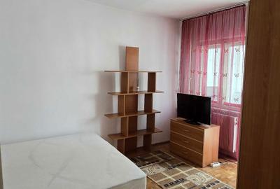 Apartament cu 2 camere semidecomandat în Craiovița Nouă - 9
