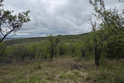 Teren agricol extravilan de 2900 mp, în Periferie - 4