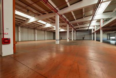 Spatiu Industrial - 2300 mp - Productie - Depozitare - 12