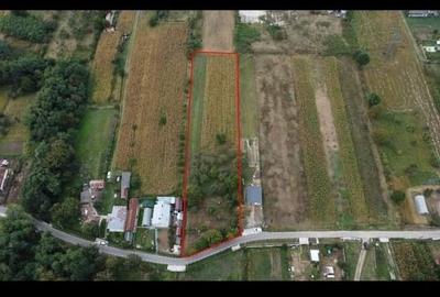 Teren Construcții intravilan de 5000 mp, în Băiculești