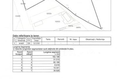 Teren Construcții intravilan de 12216 mp, în Vetiș - 7
