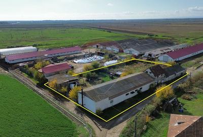 Spatiu industrial productie/depozitare - 1