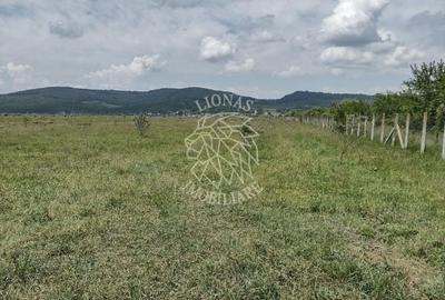 Teren agricol extravilan de 23700 mp, în Jelna - 1