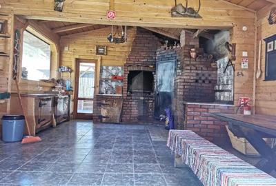 Casă cu Teren 3300 Mp în Central - 2