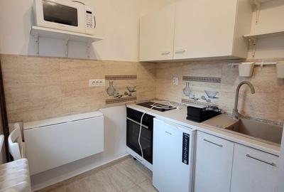 Garsonieră decomandată în Lipovei - 4