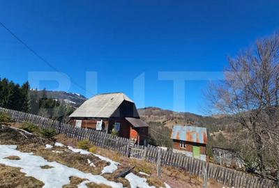 Teren în Galbena - 5