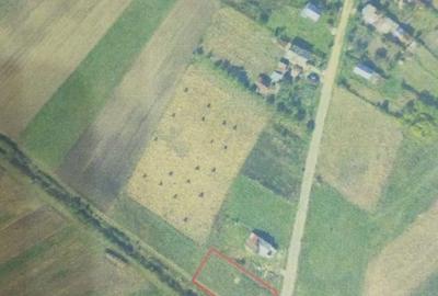 Teren de 1000 mp, în Priseaca - 6