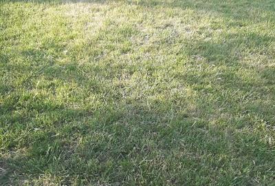 Teren intravilan 2000mp - 3