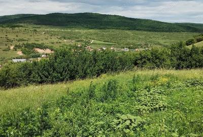 Teren de 2200 mp, în Rădaia - 6