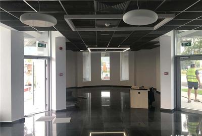 Spațiu comercial, de 1,650 mp, în Calea București - 9