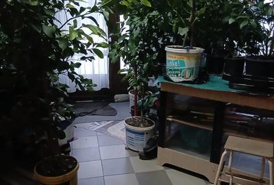 Casa de locuit sau pentru spatiu comercial - 1