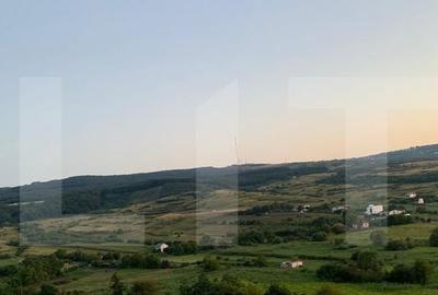 Teren intravilan,18000 mp, situat in Sopor, Exclusivitate! - 3