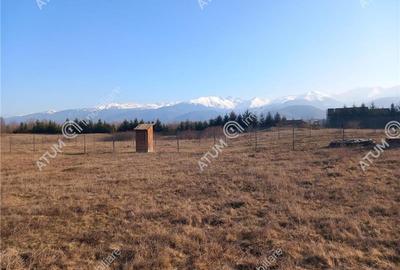 Teren intravilan 1000 mp pe Valea Avrigului la drum asfalta - 6