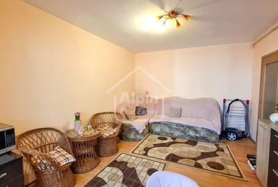 Suprafata Generoasa I Zona Garii - 9