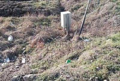 Teren de 16600 mp, în Bucovăț (Remetea Mare) - 7