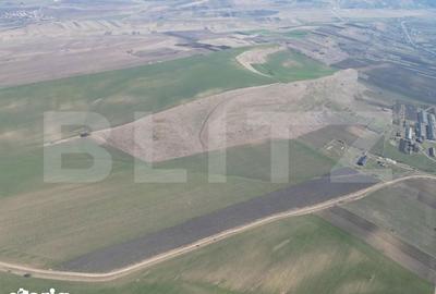 Teren de 45000 mp, în Dobrovăț - 3