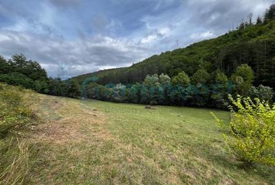 Teren agricol extravilan de 13500 mp, în Aștileu - 3