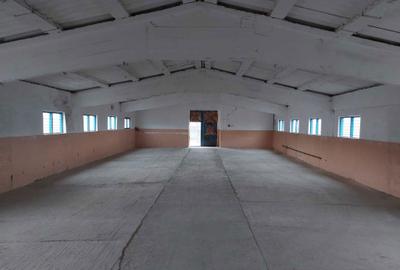 Teren de 2007 mp, în Exterior Vest - 3