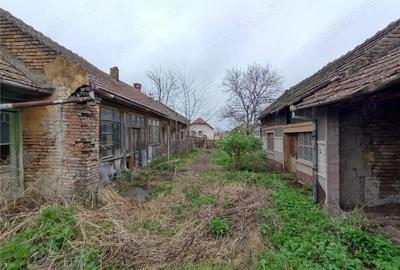 Casă cu Teren 1798 Mp în Iecea Mare - 18