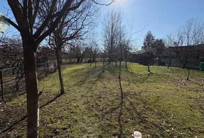 Casă cu Teren 1600 Mp în Săcălășeni - 4