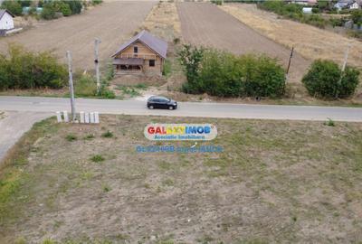 Teren 1000 m.p. Penny Mihailesti - 1