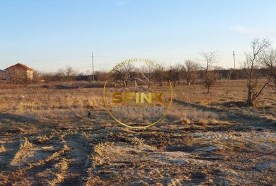 Teren intravilan | Soseaua Alexandriei | 10.000 mp | deschidere 32 mp - 9