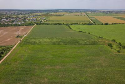 BALOTESTI - SAFTICA, TEREN INTRAVILAN 500 MP, DESCHIDERE 21 M ! - 13
