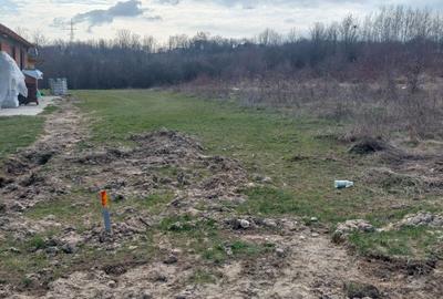 Spațiu comercial, în Schiau - 1