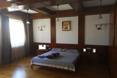 Vila Trivale - Montanstar, teren 1.750mp, piscina, mobilata - 8