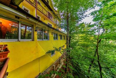 Hotel Panoramic- Investitie cu potential balnear in statiunea Moneasa - 51