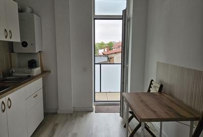 APARTAMENT LUX PARCUL CAROL - 8